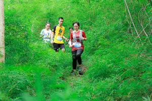 BIB: 
                            <button type="button" onclick="openModal(22091848)" class="btn btn-primary btn-sm float-right btn-popup" data-toggle="modal" data-target=".modal-high-quality">
                        <i class="fas fa-shopping-cart"></i> Add to Cart
                    </button>
                                            <button type="button" onclick="isThisMe(22091848, true)" class="btn btn-success btn-sm float-right btn-popup btn-isme hidden" data-toggle="tooltip" data-placement="bottom" title="นี่คือรูปของคุณใช่ไหม คลิกที่นี่เพื่อเอาเข้าอัลบั้ม">
                        <i class="fas fa-plus"></i> Add to album
                    </button>
                    <button type="button" onclick="isThisMe(22091848, false)" class="btn btn-warning btn-sm float-right btn-popup btn-isnotme hidden">
                        <i class="fas fa-ban"></i> Remove from album
                    </button>